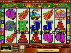 Bush Telegraph Screenshot Free Spins